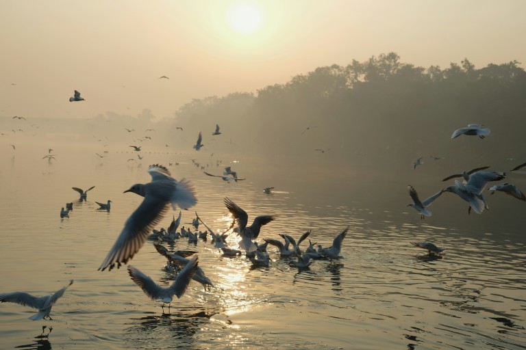 Yamuna