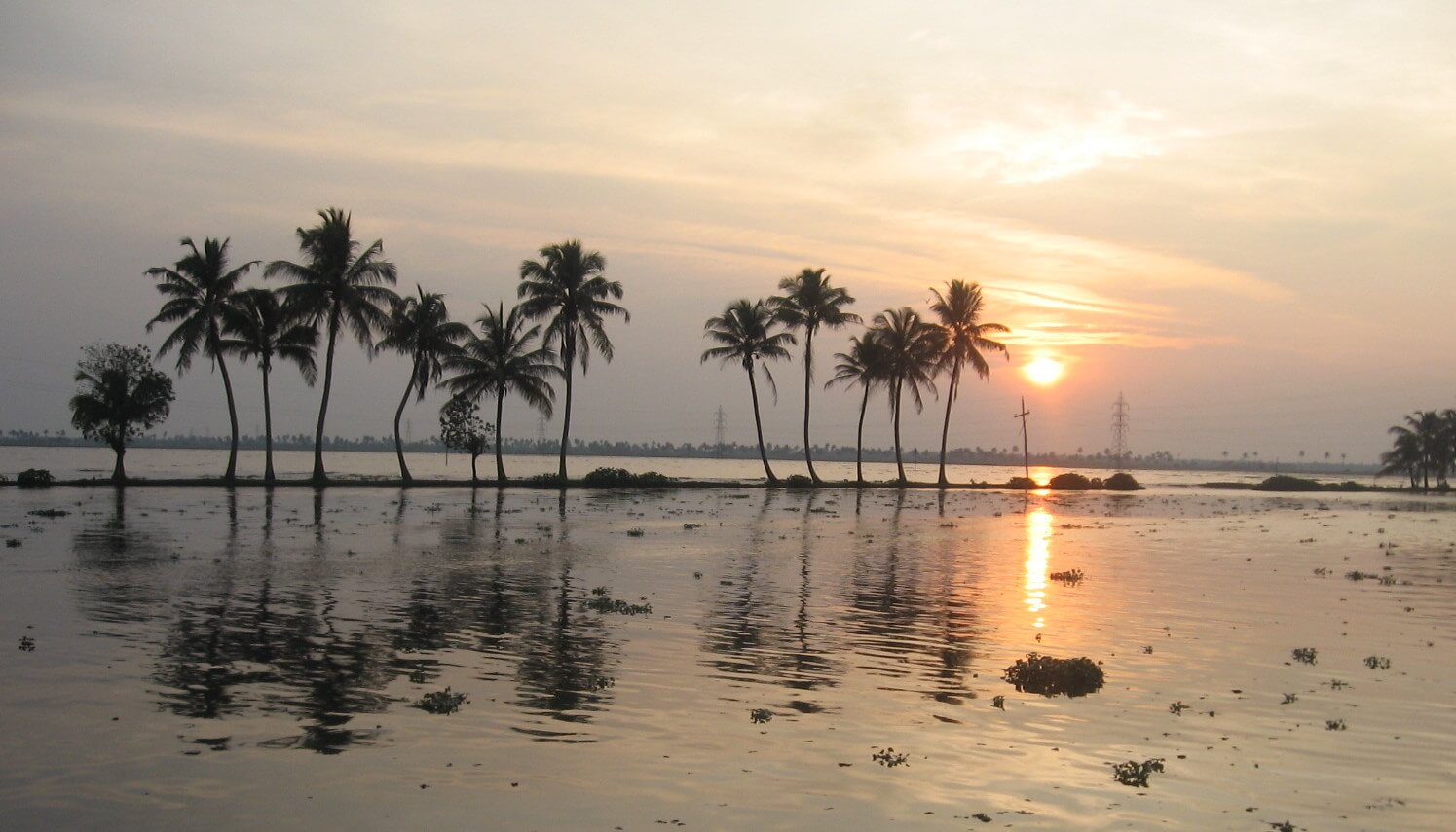 Alappuzha Backwaters