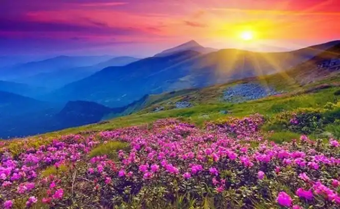 Valley_of_flowers