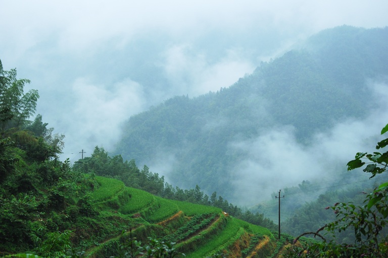 Kausani