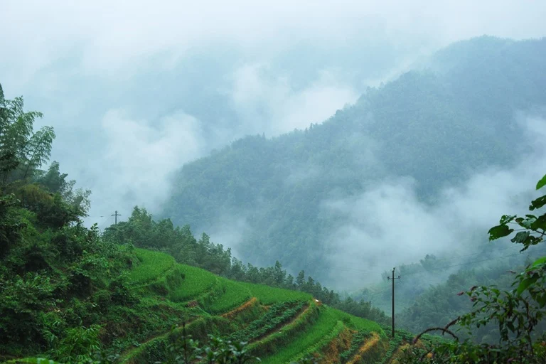 Kausani