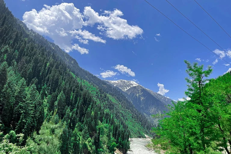 Solan