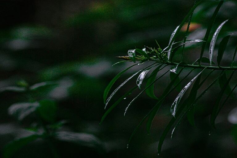 Krishnapur Canyon Trek