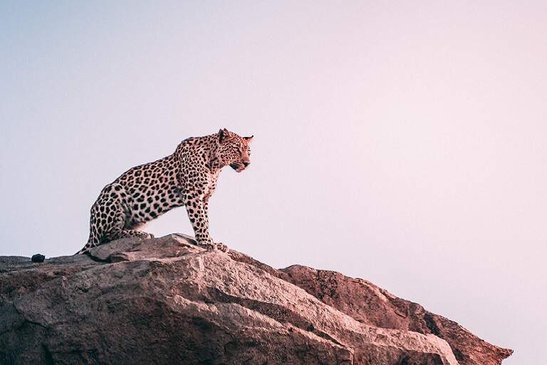 Netravali Wildlife Sanctuary