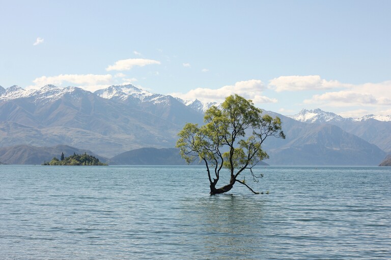 Wanaka