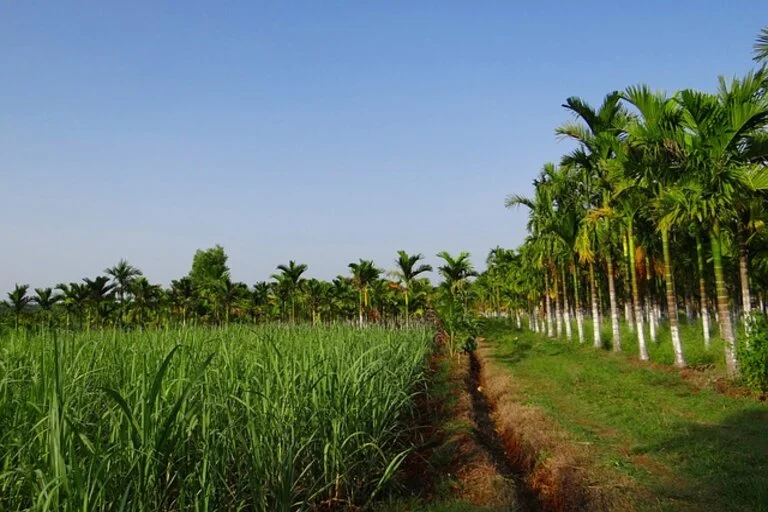 Chikmagalur