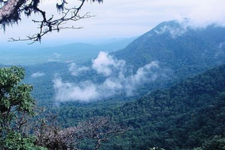 Agumbe