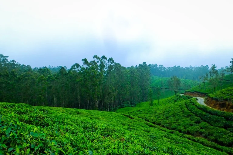 Vythiri