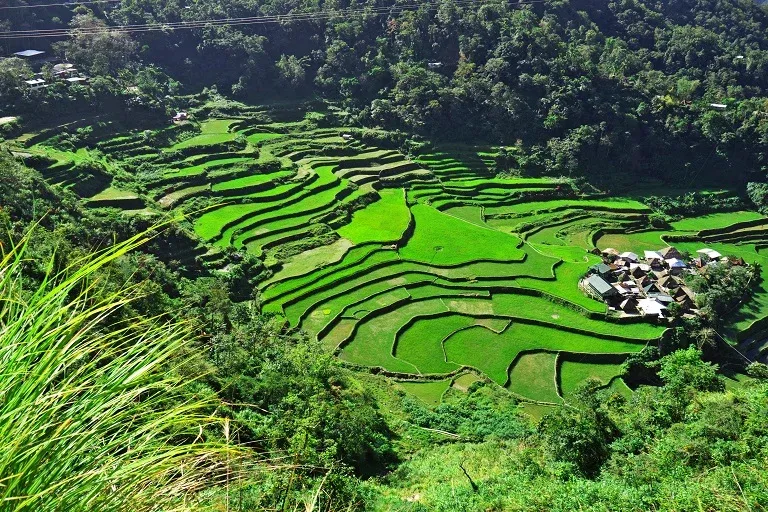 Banaue-Rice-Terraces