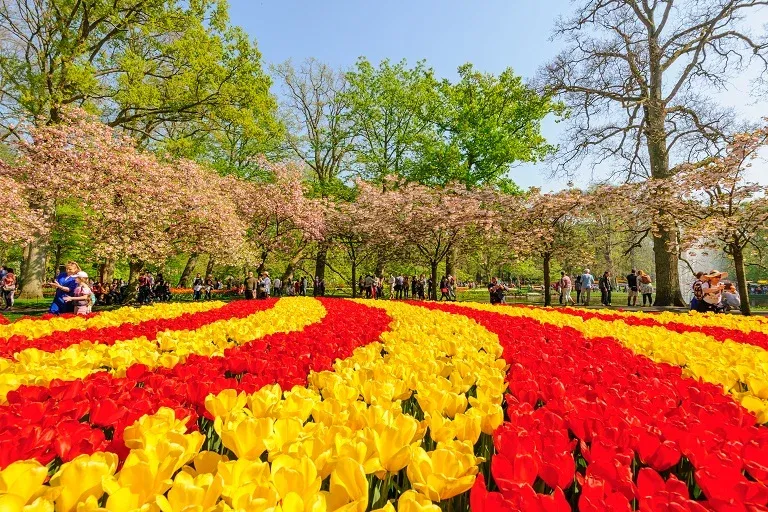 Keukenhof Gardens Netherlands